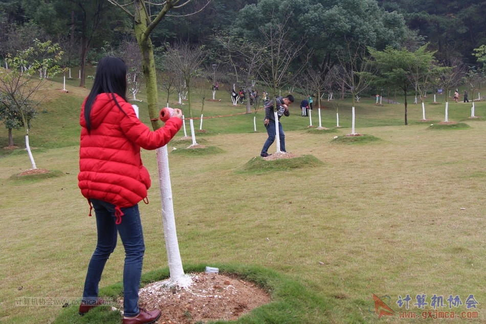 151129yl118.JPG
