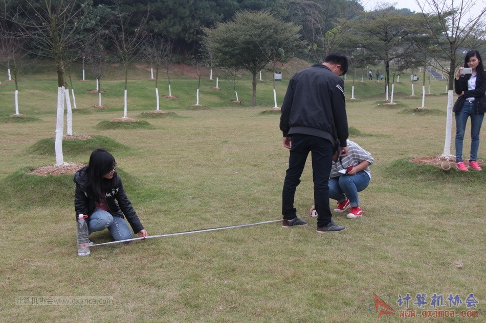 151129yl373.JPG