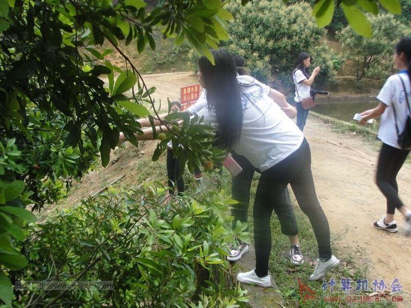 160424sk226_调整大小.JPG