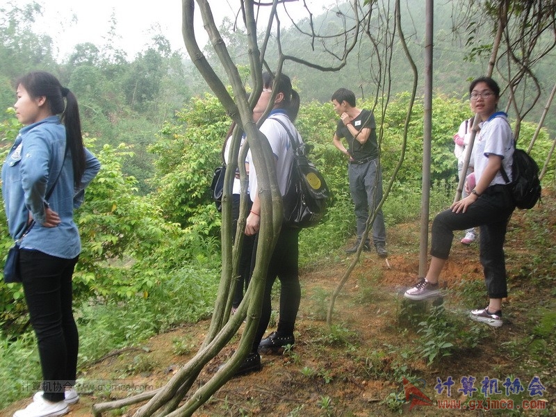 160424sk252_调整大小.JPG