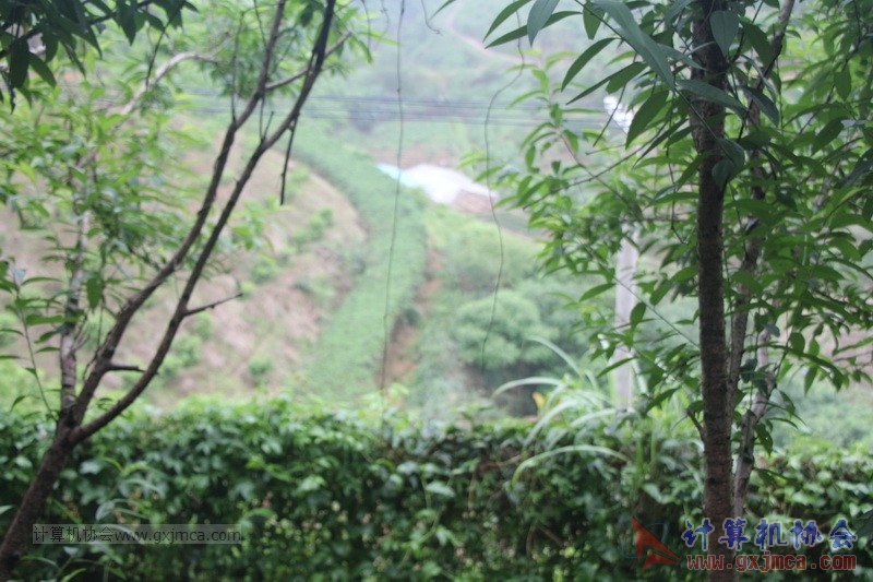 160424sk1213.JPG