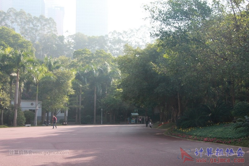 161204yjq0066.JPG