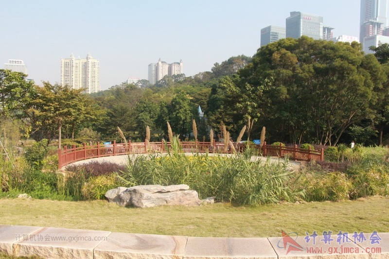 161204yjq0125.JPG