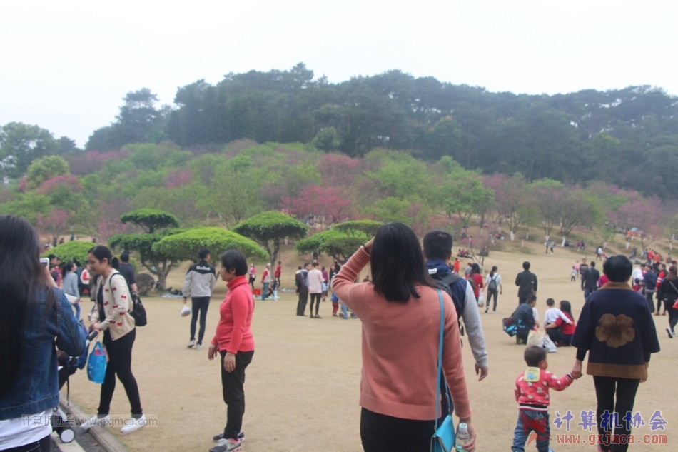 170312yhly003.JPG