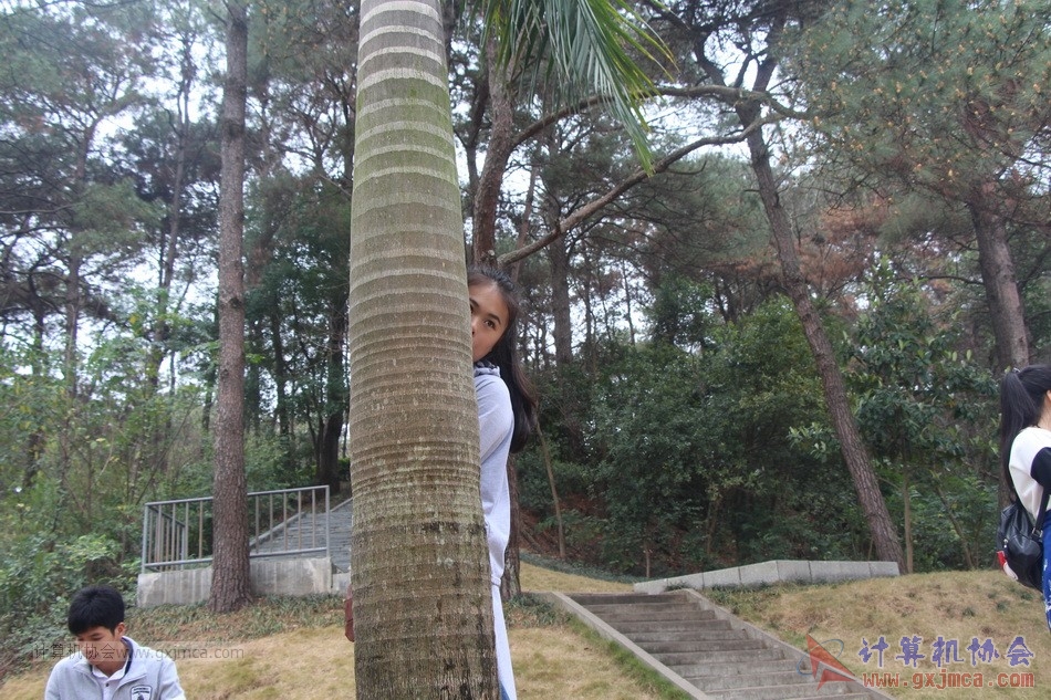 170312yhly015.JPG