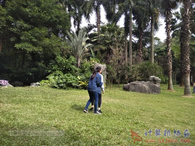 171203zchd55_调整大小.jpg