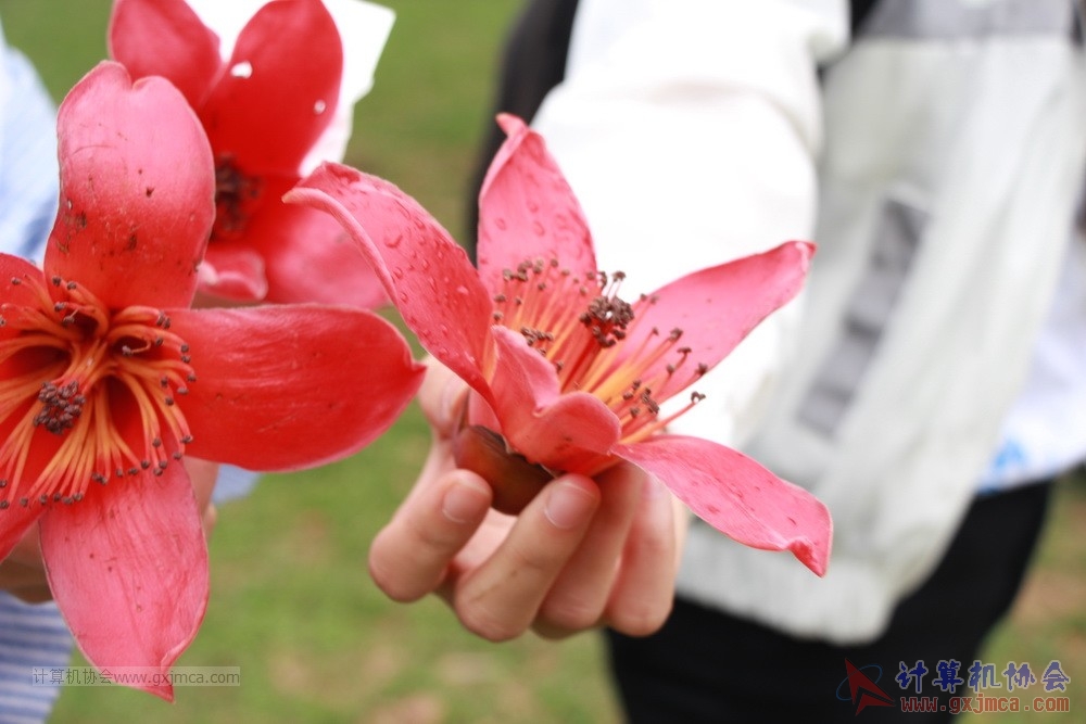 2018031716jssyw040.JPG