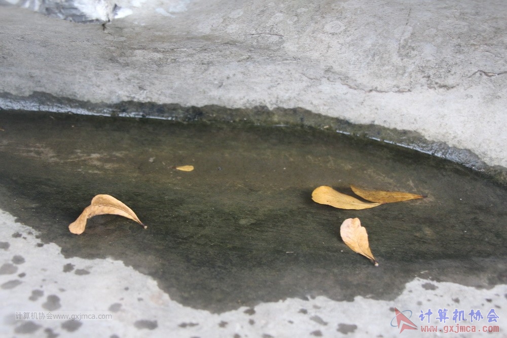 191201xhhwlyhd093.JPG
