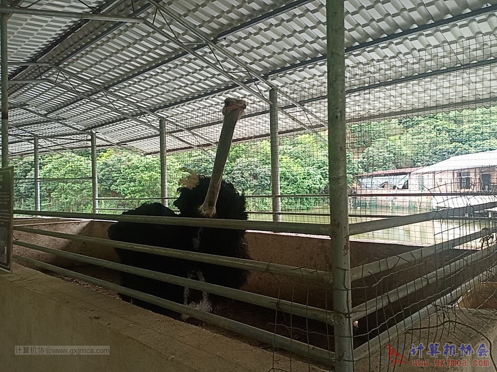 200620CA15jh1269.jpg