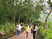 20150509财务部组策部药用植物园游玩部门联谊活动（小相机）（04）