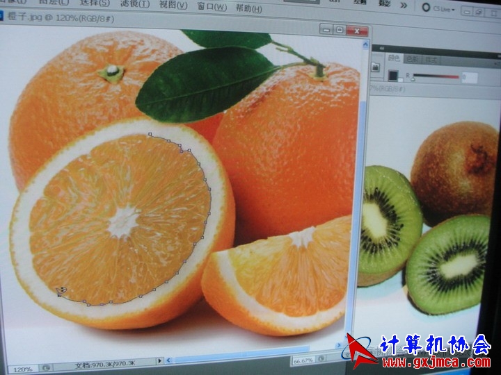 120310px21.JPG