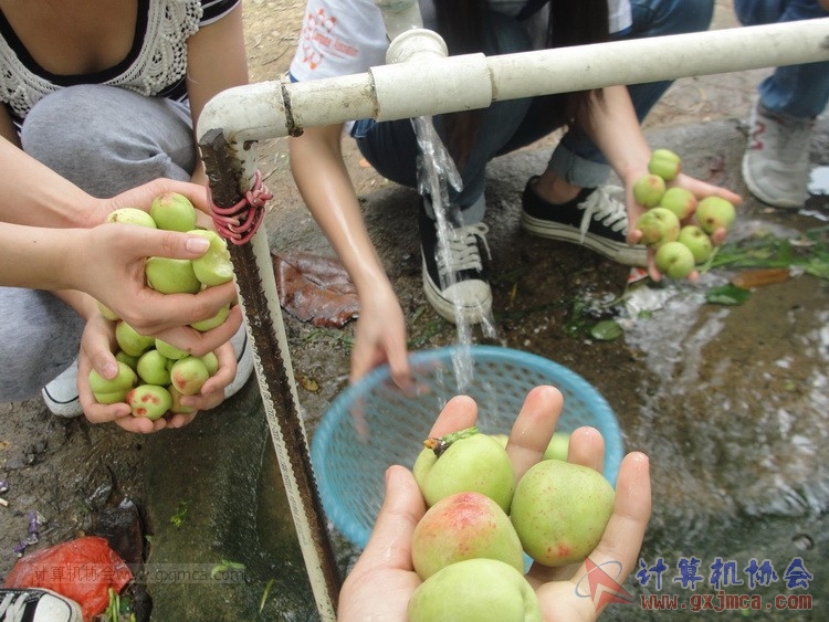 140426ca1199.JPG