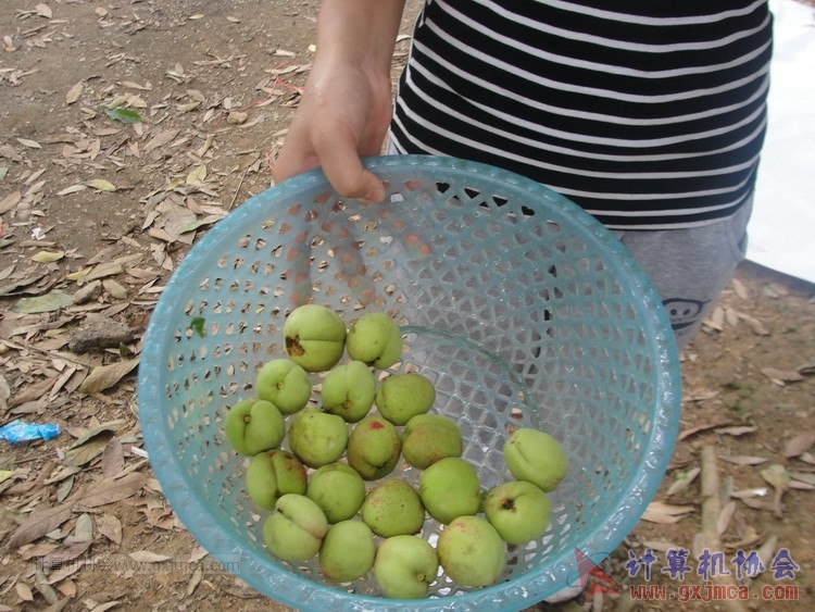 140426ca1206.JPG