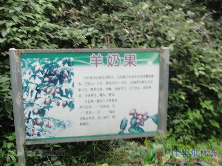 140426ca1355.JPG