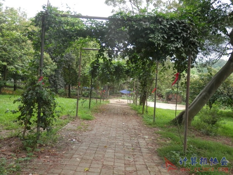 140426ca1565.JPG