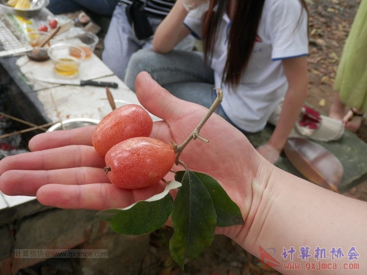 140426ca1591.JPG