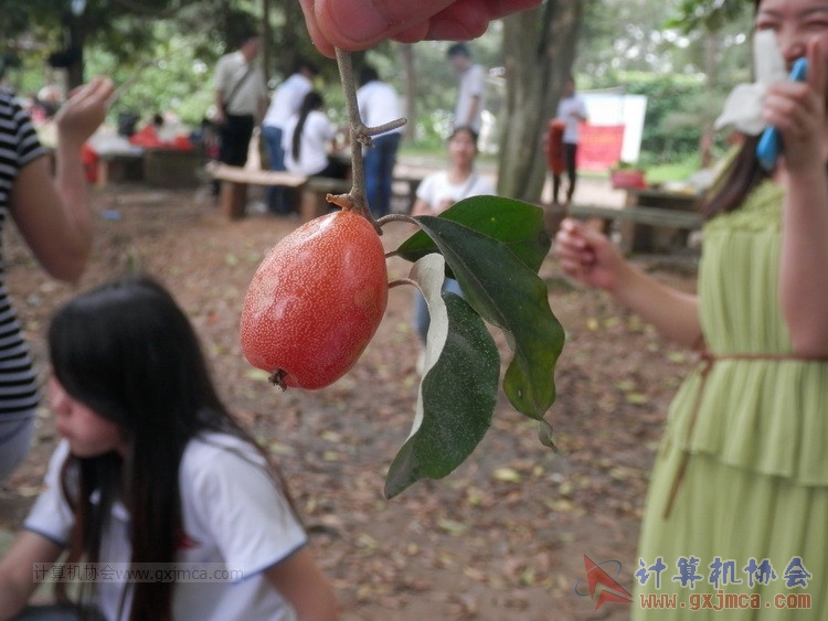 140426ca1592.JPG