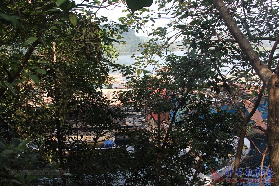 141129tb320.JPG