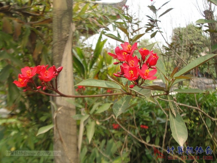 150322wxh197.JPG